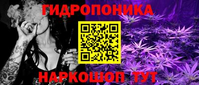 прущие грибы Анжеро-Судженск
