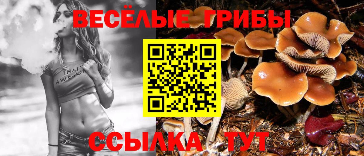 Галлюциногенные грибы ЛСД Большой Камень