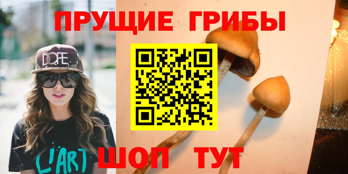 Галлюциногенные грибы Cubensis  Псилоцибиновые грибы Cubensis  Большой Камень  Вход с VPN 